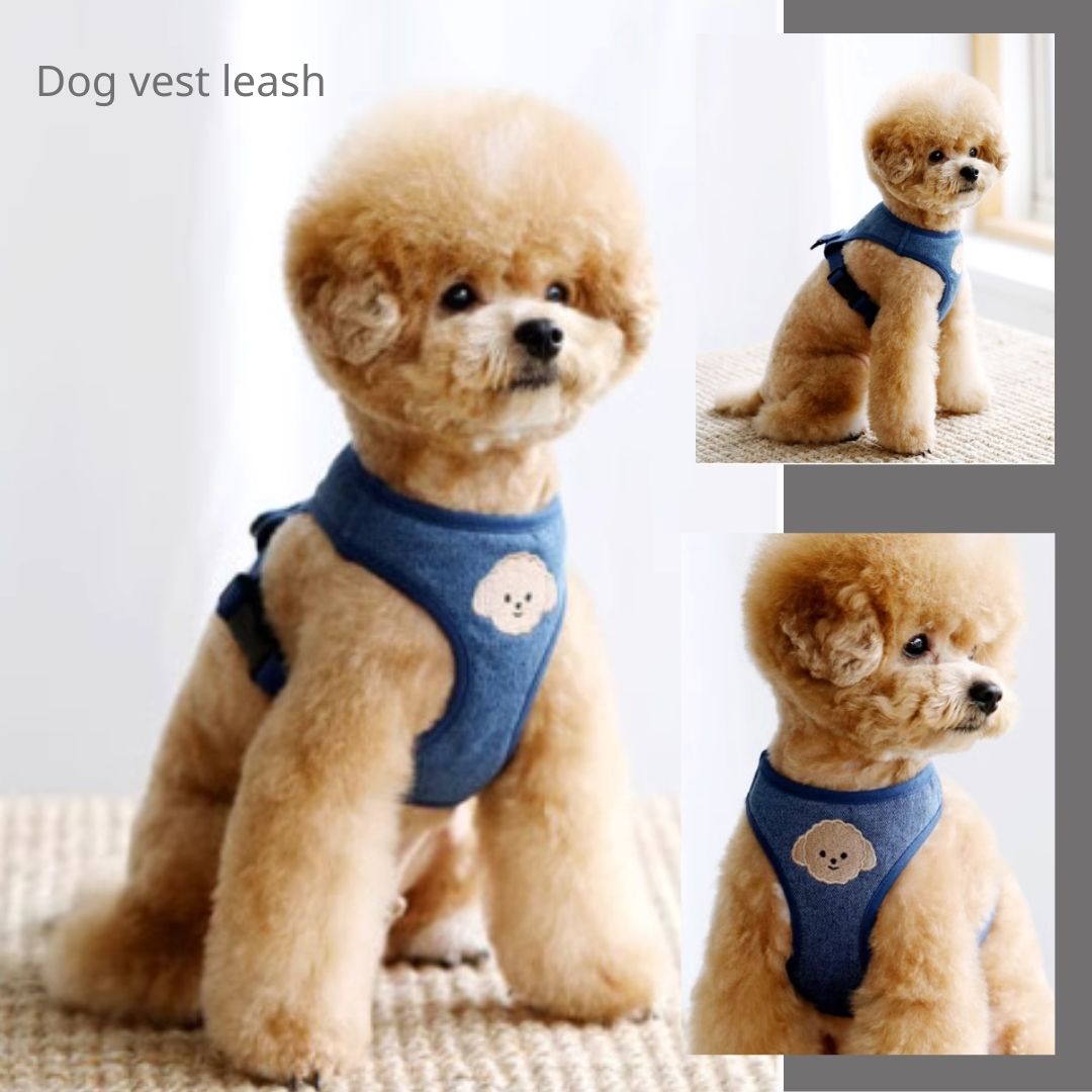 Dog Vest Type Leash