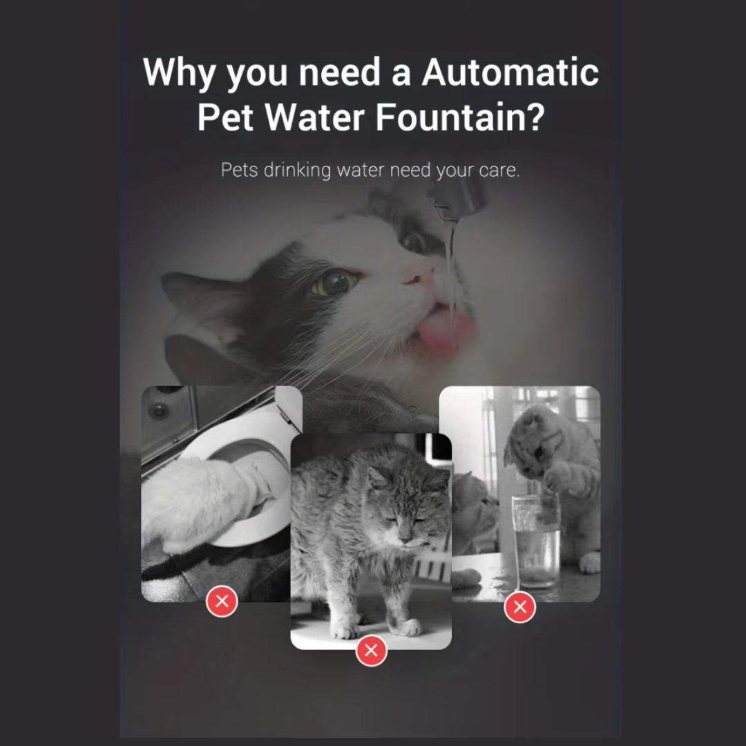 Automatic Circulation Cat Water Feeder